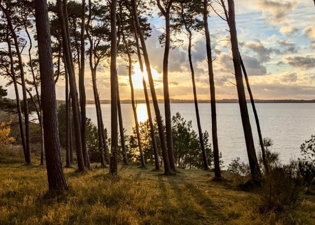 Tallskog - Dein Apartment Am Naturstrand Hohen Wieschendorf Hohenkirchen  ภายนอก รูปภาพ