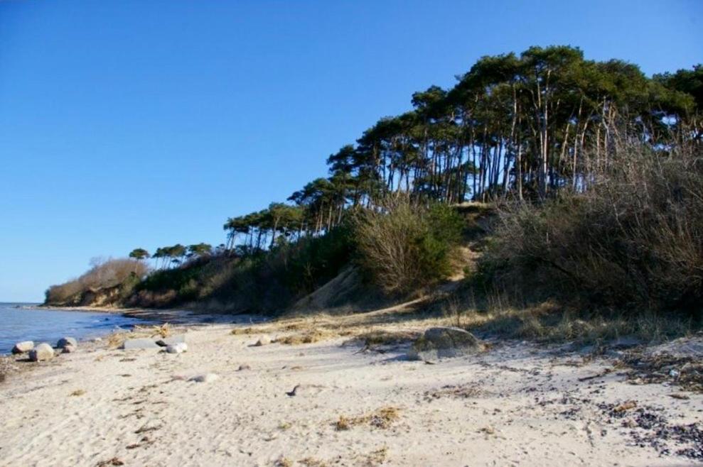 Tallskog - Dein Apartment Am Naturstrand Hohen Wieschendorf Hohenkirchen  ภายนอก รูปภาพ