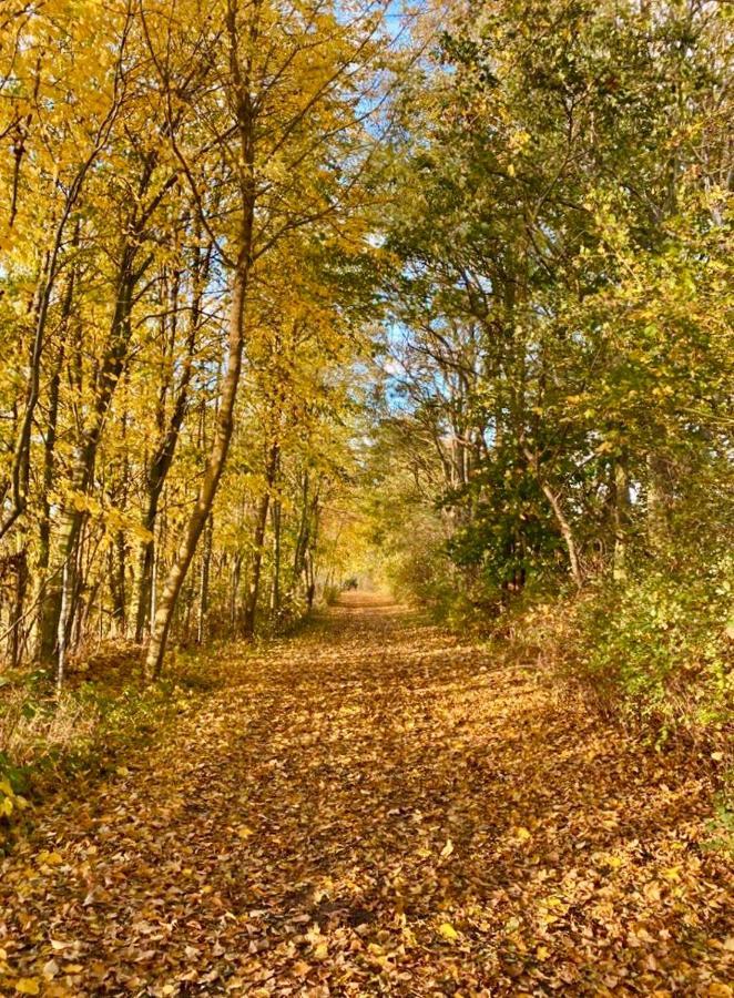 Tallskog - Dein Apartment Am Naturstrand Hohen Wieschendorf Hohenkirchen  ภายนอก รูปภาพ