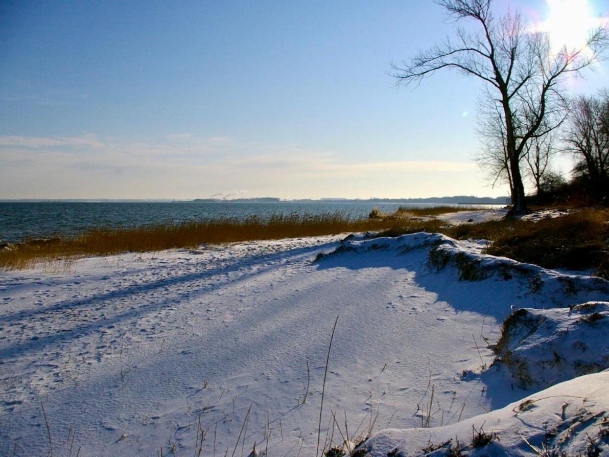 Tallskog - Dein Apartment Am Naturstrand Hohen Wieschendorf Hohenkirchen  ภายนอก รูปภาพ