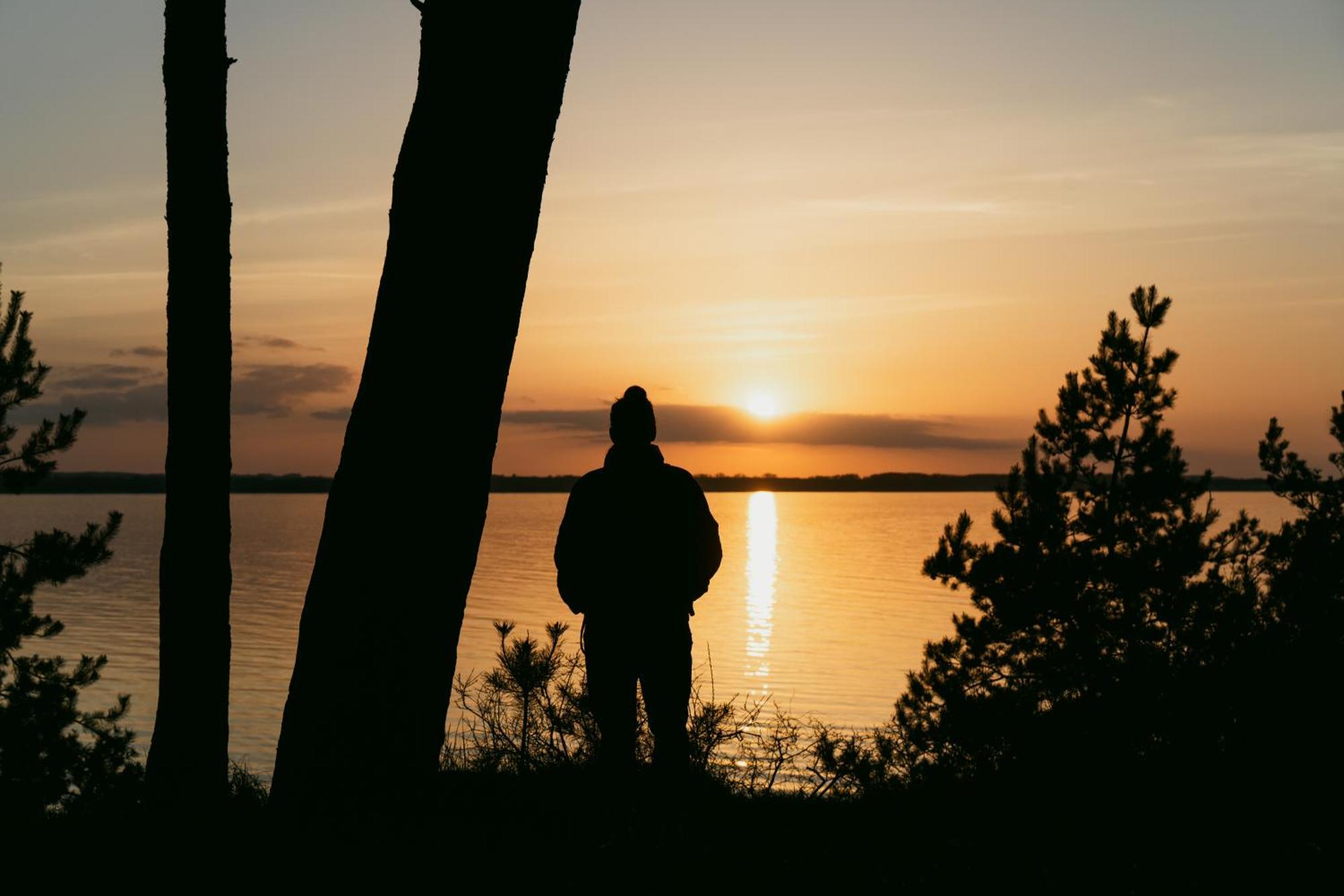 Tallskog - Dein Apartment Am Naturstrand Hohen Wieschendorf Hohenkirchen  ภายนอก รูปภาพ